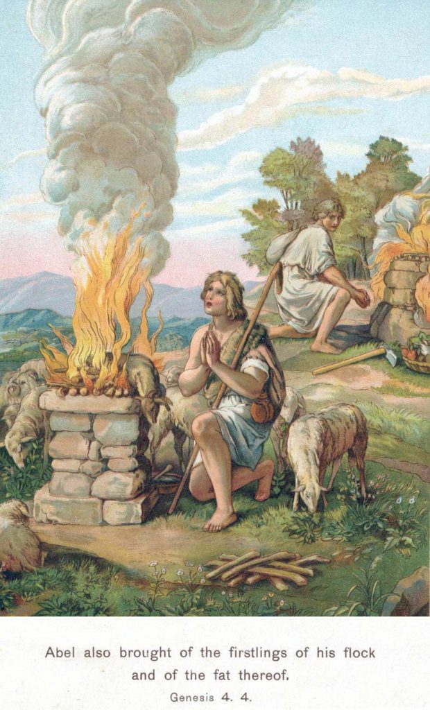 Genesis 1-11 explained simply: God creates, man falls, judgment comes, and hope begins. A family-friendly Bible overview for homeschoolers and Christian families.